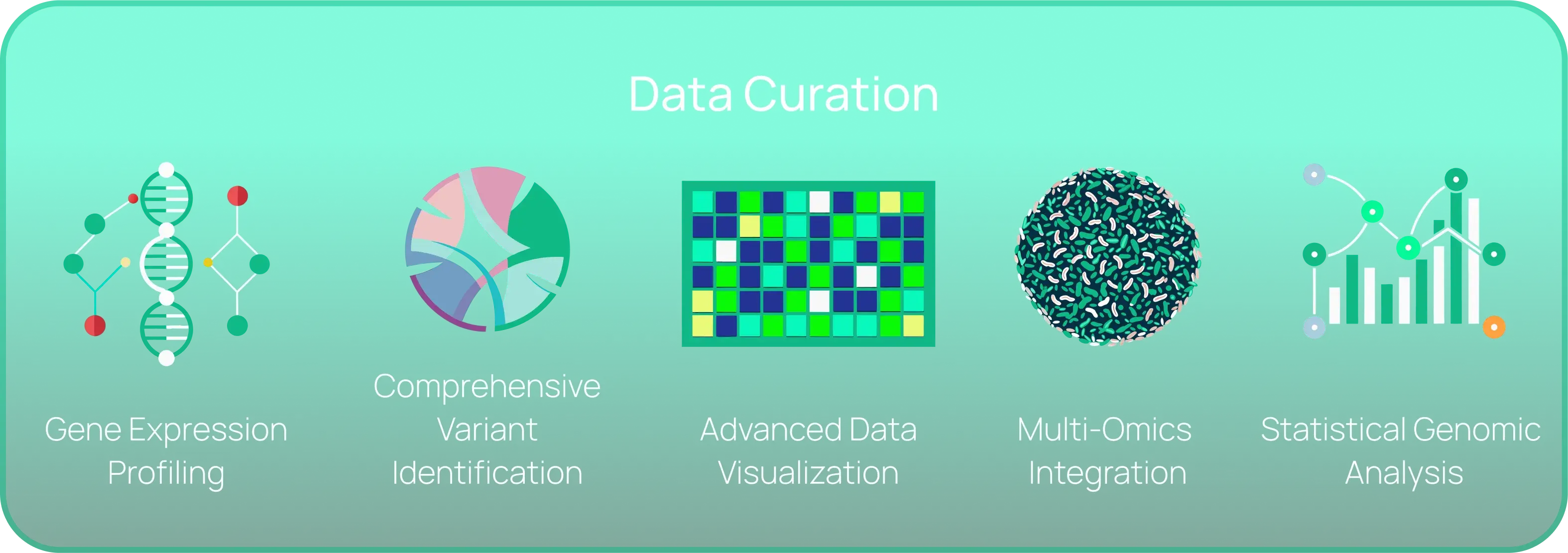 Data curation process for precision medicine